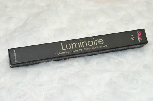 Sleek Concealer Luminaire Highlighting L01